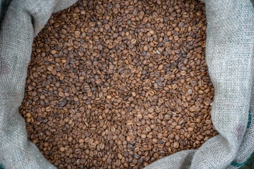 브라질 세하도 500g